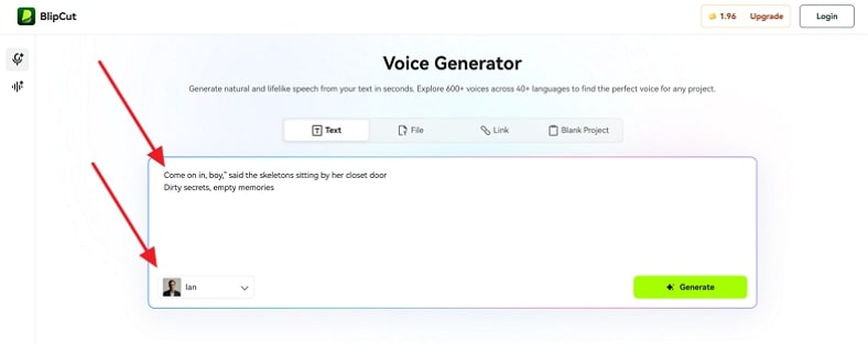 put prompt or select voice