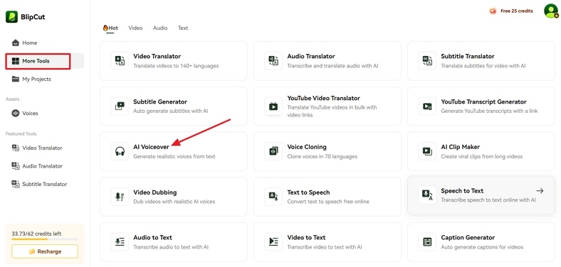 access ai voiceover tool blipcut
