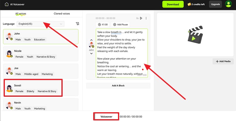 select language and voice to proceed