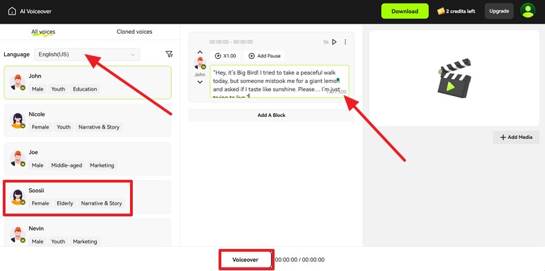 paste the script to proceed