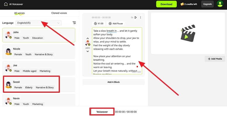 voiceover the prompt