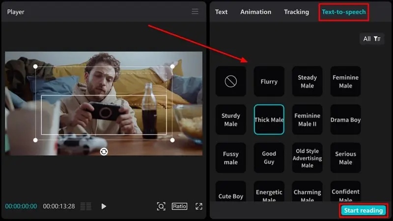 generate the voiceover