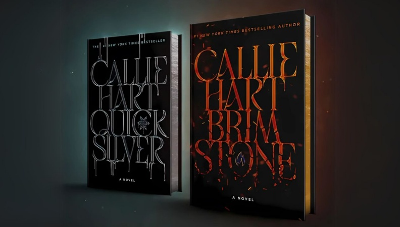 Quicksilver Book Cover