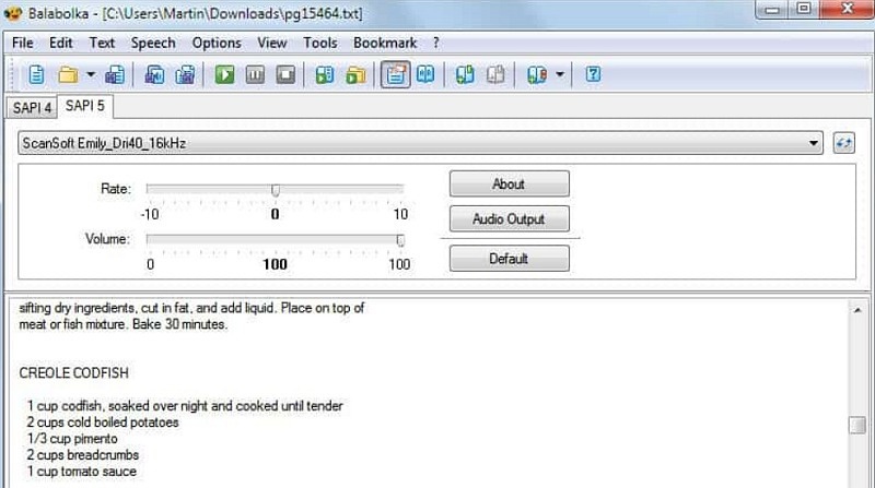Balabolka Eric TTS Wrapper